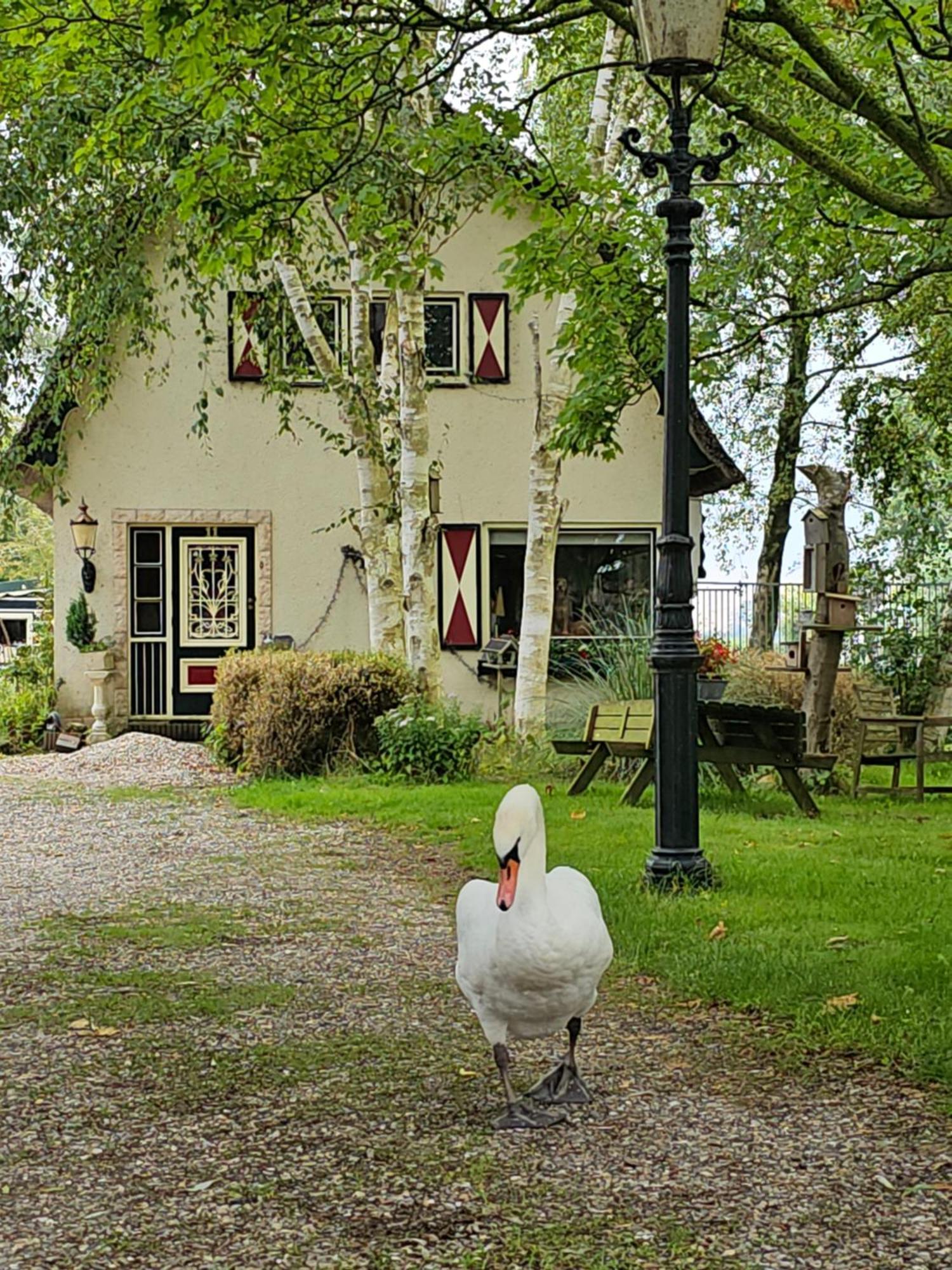 B&B Zusenzomer Oostwoud Εξωτερικό φωτογραφία